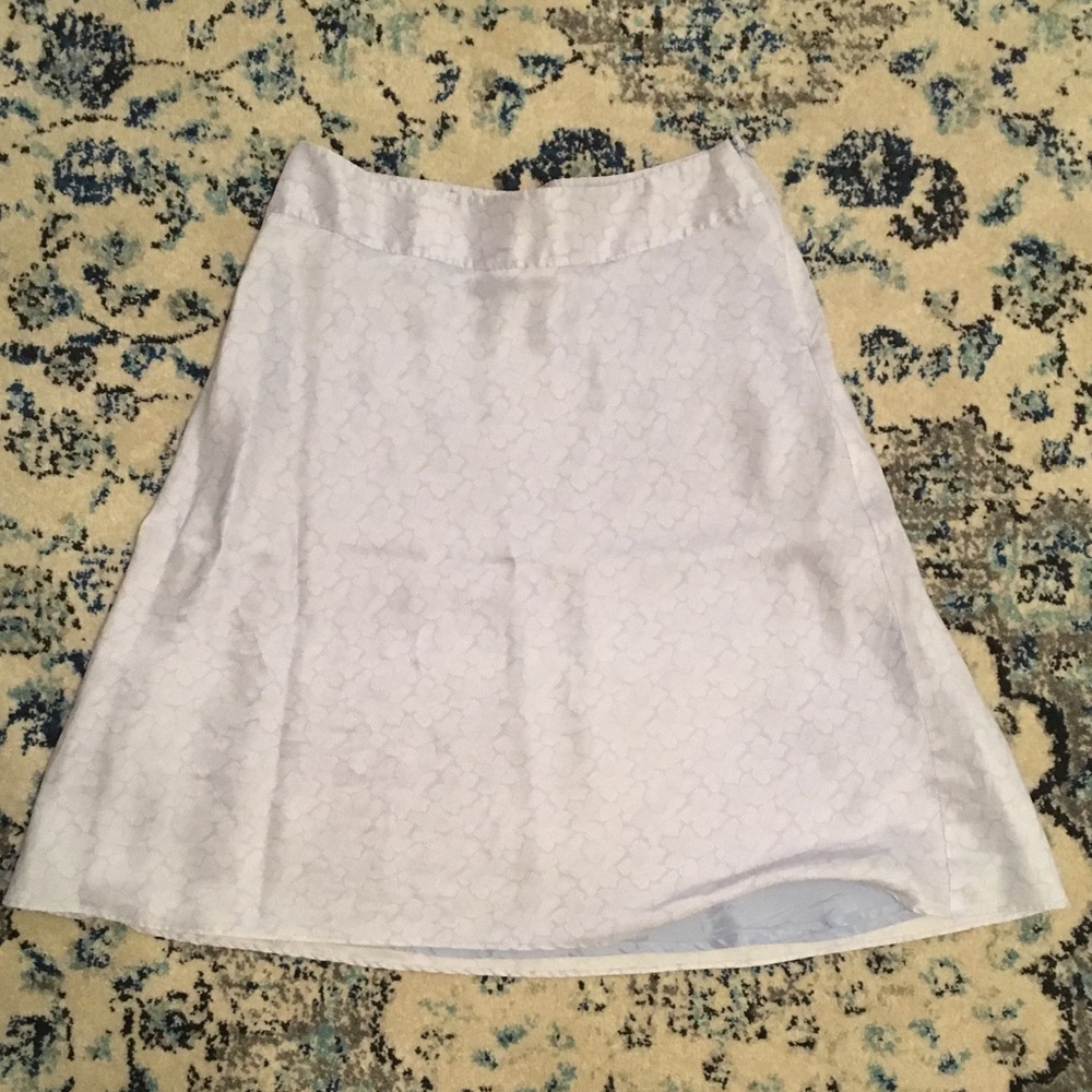 Silk Skirt